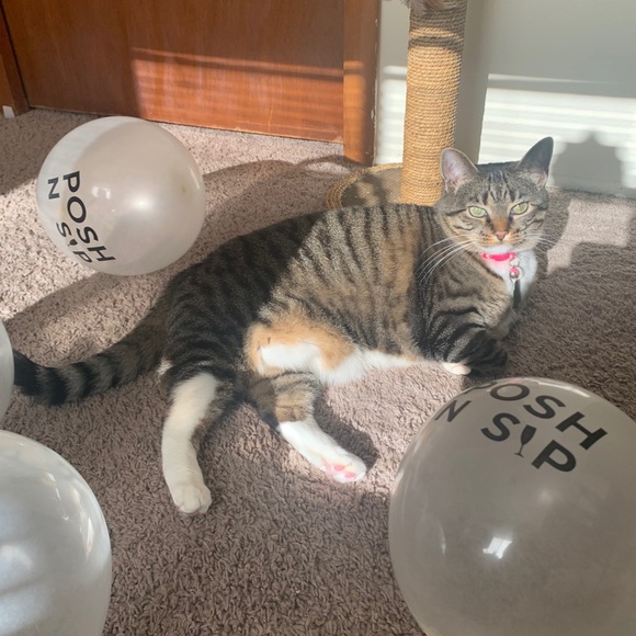 Poshmark Turns 9 🎉 Virtual Posh N Sip - Picture 2 of 4